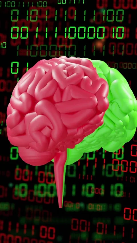 Animation of ai text, brain and binary coding data processing over dark 스톡 동영상 343714147