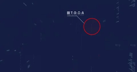 Animation of airplane, circle over binary codes and computer language against Stock Footage 242095117