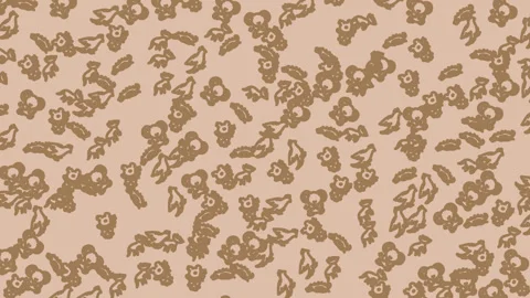 Animation Animal Pattern 7 Stock Footage 319949726