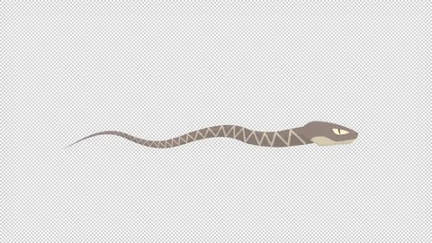 Animation of an animal snake. Cartoon | Stock Video | Pond5