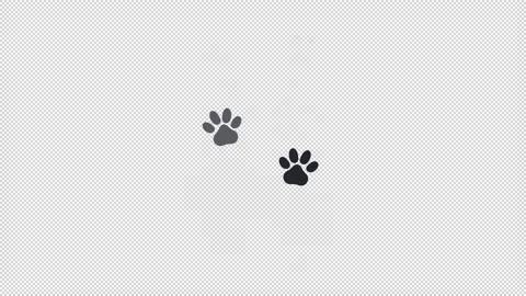 Animation of the animal's trail. Cartoon Stock Footage 155498070