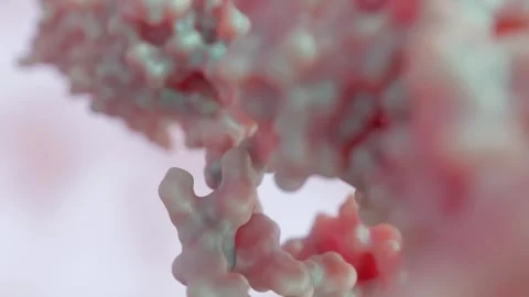 Animation of antibody biosensor conjugated molecules Stock Footage 319544581