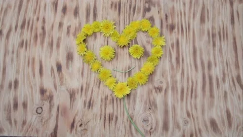 Animation of appearance of dandelion flowers in shape of a heart with a smile Stock Footage 133721993