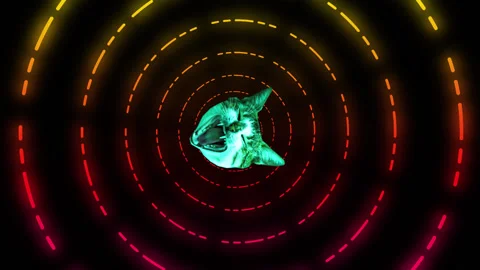 Animation art. Looping graphic animation. The rotating head of a cat in neon Stock Footage 154802111