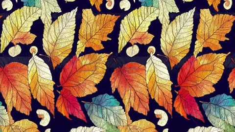 Animation In Autumn Style Stock Footage 215437478