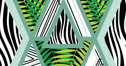Animation of backgroud with triangles in zebra pattern and leaves Stock Footage 157156376