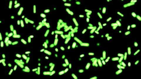 Animation background of bacteria moving in green color Stock Footage