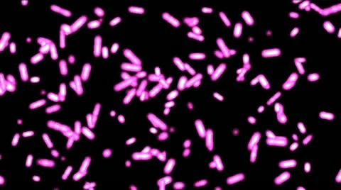 Animation background of bacteria moving in purple color Stock Footage 10805132