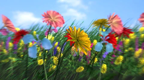 Animation background with flowers - HD Stock Footage 53566886