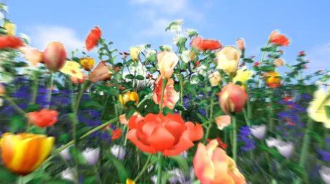 Animation background with flowers - HD Stock Footage