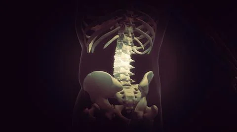 Animation background of painful back Stock Illustration