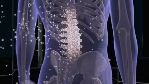 Animation background of painful back VFX Back Pain Augmented Reality Animation. 库存影片 336580305