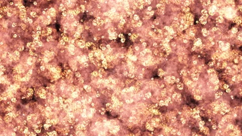 Animation background for restaurants, bars, menus. Stock Footage 109559653