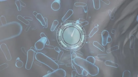 Animation of bacteria cells and clock moving over liquid background Stock Footage 325770450