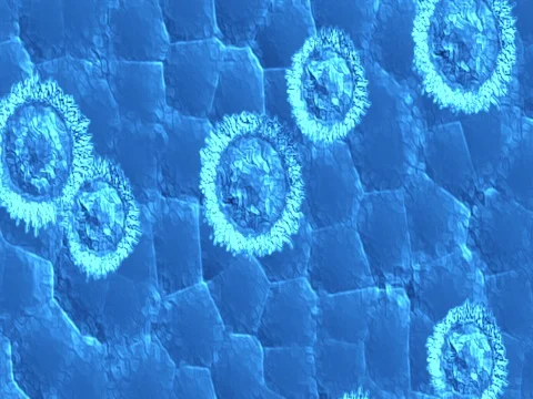 Animation of bacteria, virus, cell flowing on blue background Stock Footage 80579053