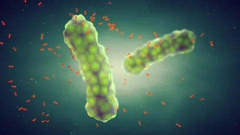 Animation of bacteriophages (bacterial viruses) attacking bacteria. Stock Footage 153284625