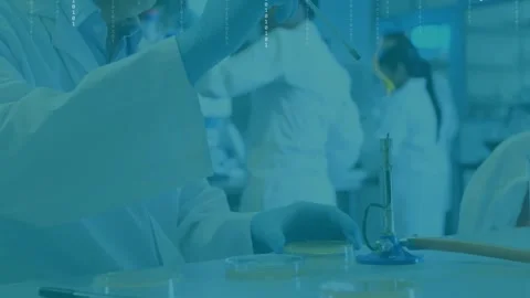 Animation of binary codes over caucasian scientist burning sample on fire using Vidéo 249324081