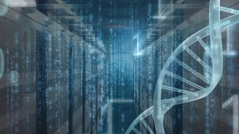 Animation of binary coding and dna structure spinning over server room Stock Footage 327061580