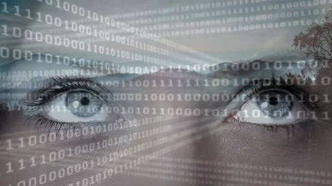 Animation of binary coding and landscape over eyes 스톡 동영상 172328052