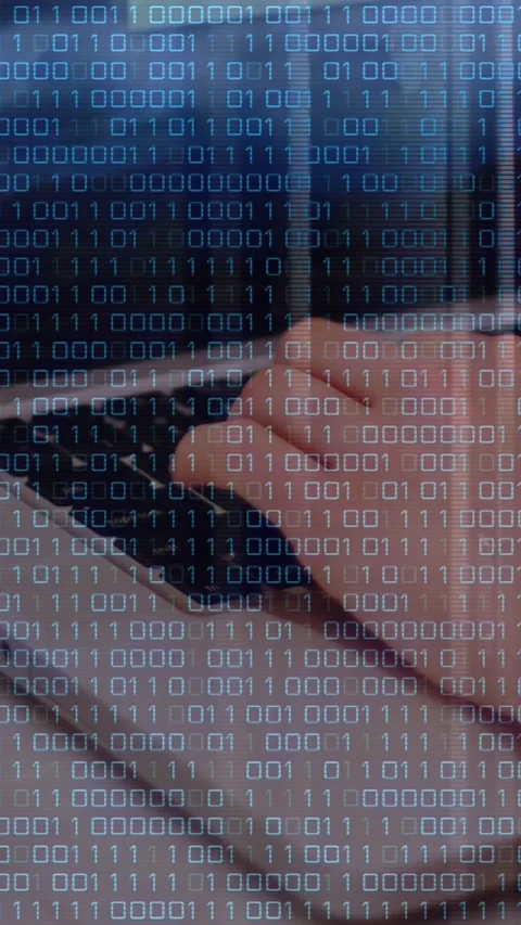 Animation of binary coding data processing over mid section of a woman using Stock-Footage 342805875