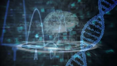 Animation of binary coding, human brain, dna strand spinning and data processing Stock Footage 330296436