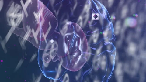 Animation of binary coding numbers changing with human brain spinning Stock Footage 312503824