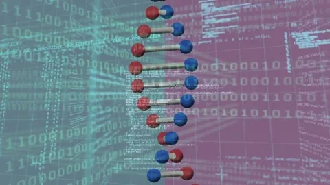 Animation of binary coding, scientific data processing and dna strand spinning Stock Footage 325699412