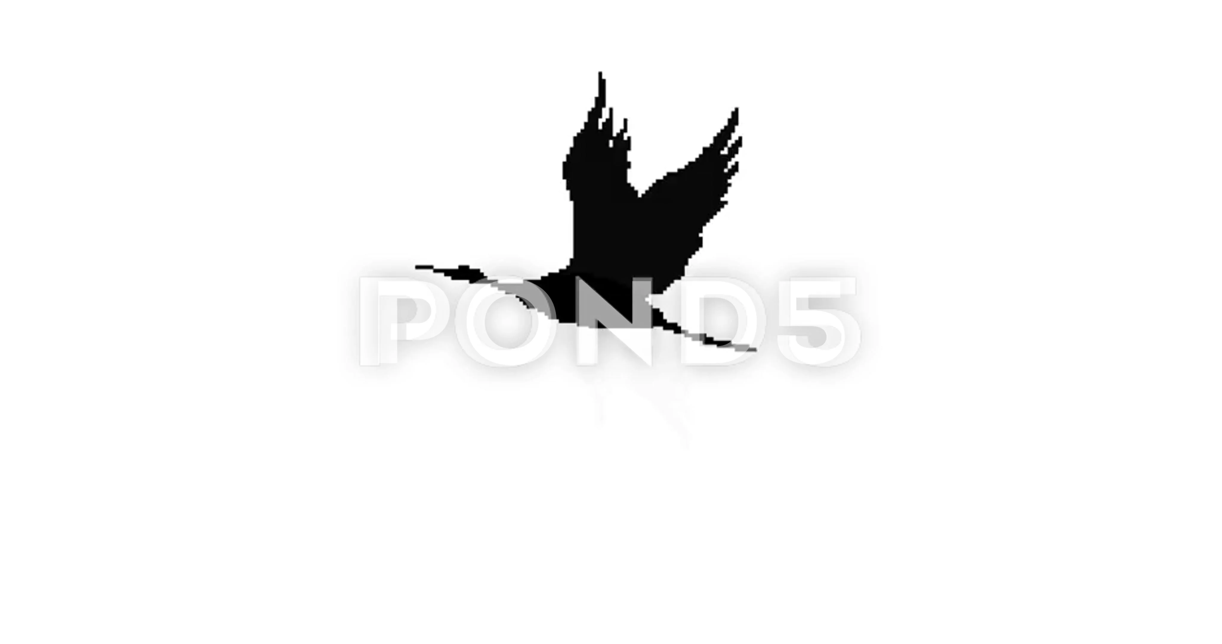 Animation of bird. Pixel art 8 bit vecto... | Stock Video | Pond5