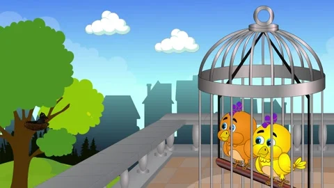 Animation of Birds talking with each other Stock Footage 303633926