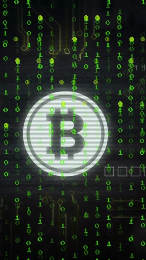 Animation of bitcoin icon over binary coding data processing Stock Footage 323578143