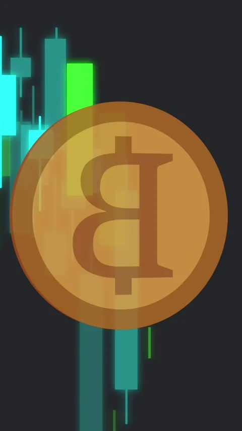 Animation of bitcoin over financial data processing on black background Stock Footage 323783099