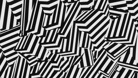Animation of a black and white Background Zebra 4K Stock Footage 158011773