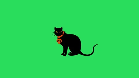 Animation Black cat on green background.  Stock Footage 128628541