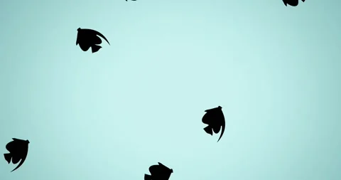 Animation of black fish on blue background Stock Footage 328405082