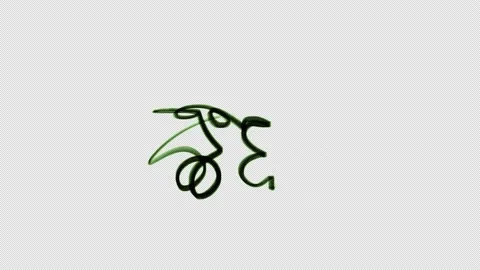 Animation of black lines with brown strokes on a green screen. Stock Footage 201159170