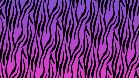 Animation of black tiger stripe pattern on pink background Stock Footage 157808697