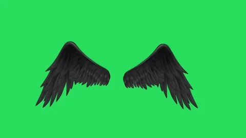 Animation black wing. Stock Footage 128419429