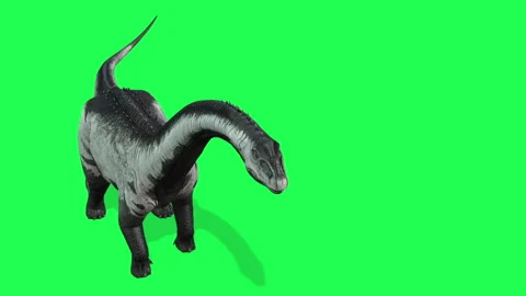 Animation - Brachiosaurus herd, sauropod walking in search of food on Green.. Video stock 257664959