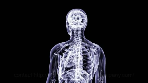Animation of brain and human body model rotating over black background. human Stock Footage 219691637