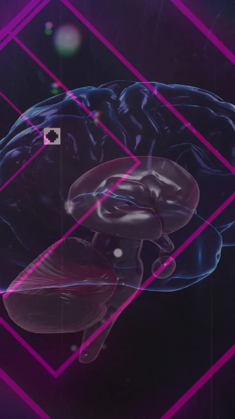 Animation of brain and shapes on black background Stock Footage 324024488