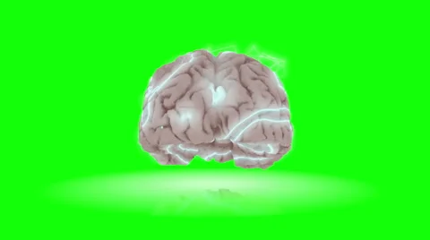 Animation of brain with electrical activity flickering across the surface. Stock Footage 61422465