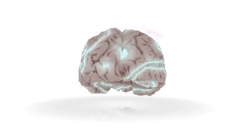 Animation of brain with electrical activity flickering across the surface. Stock Footage 61422532