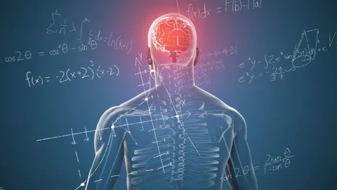 Animation of brain highlighted in human anatomy, surrounded by school math Stock Footage 303420899