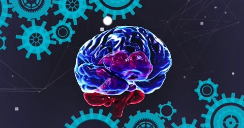 Animation of brain rotating over navy background with dots and cogs Stock Footage 178154090