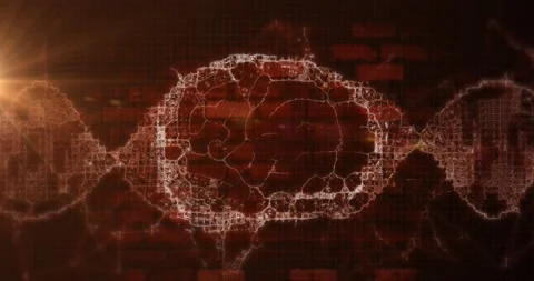 Animation of brain rotating over waves o... | Stock Video | Pond5