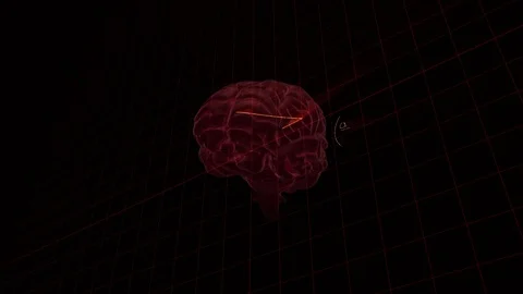Animation of brain with technology and data processing Stock-Footage 126667573