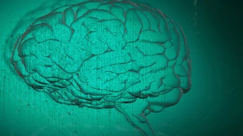 Animation of brain with technology and data processing 库存影片 126667646