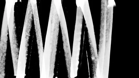 Animation of brush strokes crossing the screen with a zig zag line. Video stock 293811924