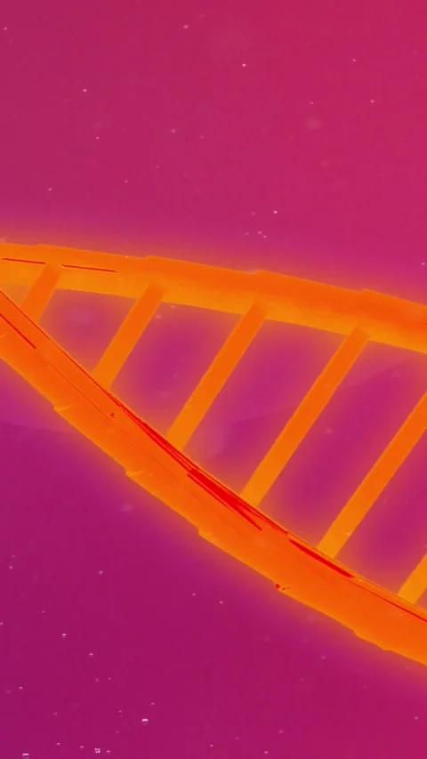 Animation of bubbles and dna strand on purple background Stock Footage 323898101