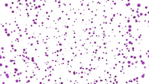 Animation with bubbles moving up on white background. Design. Colored bubbles Stock Illustration